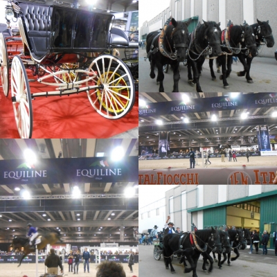 SPORT E TURISMO EQUESTRE ALLA FIERACAVALLI VERONA 2015